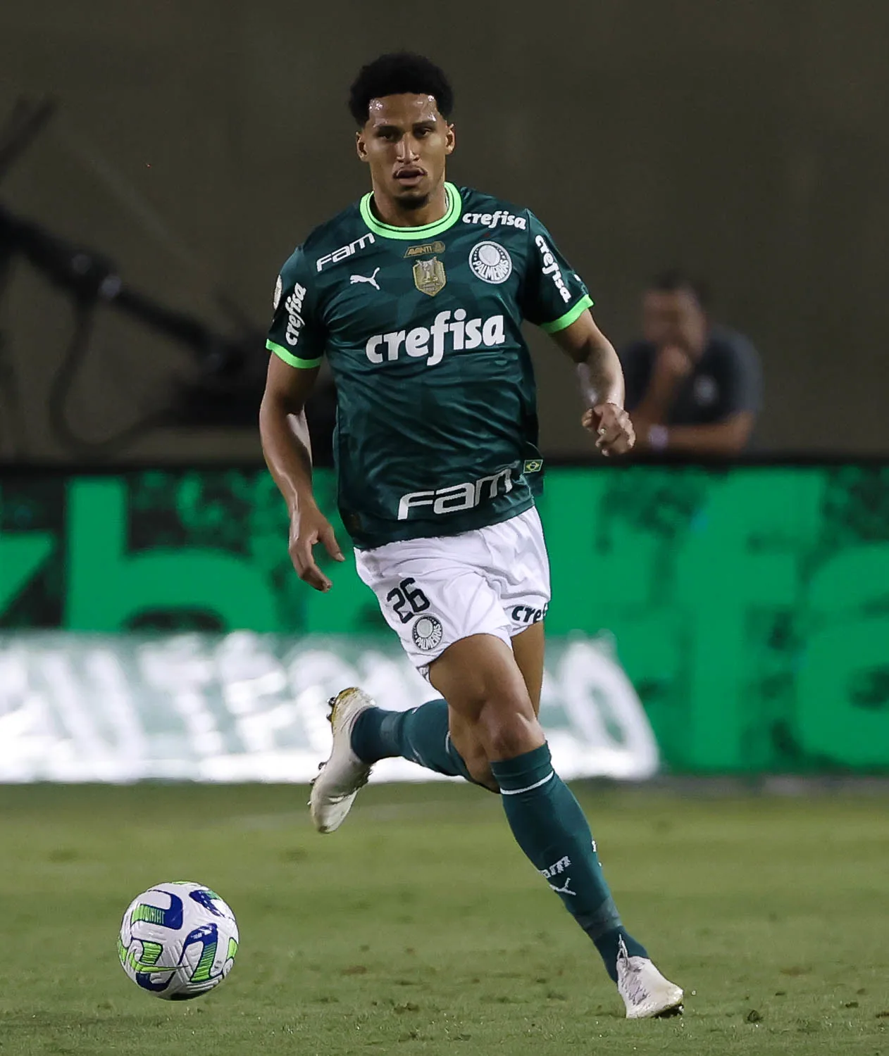 PALMEIRAS