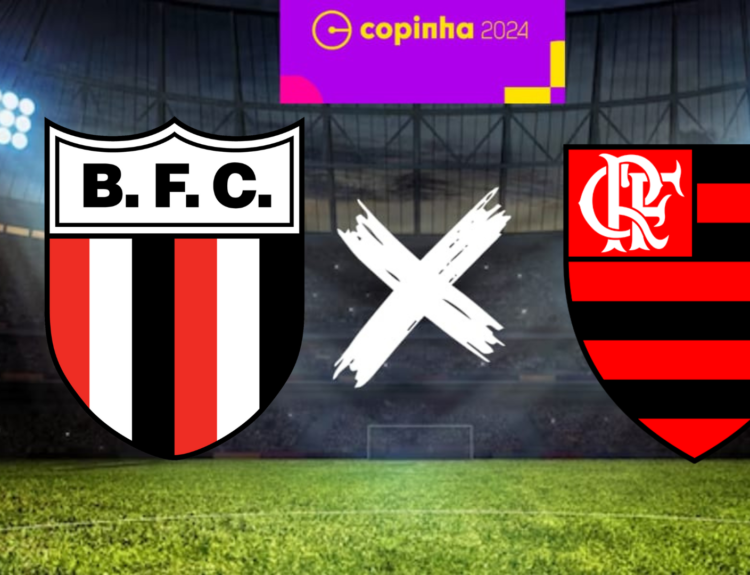 Botafogo-SP x Flamengo
